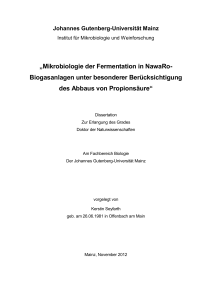 Mikrobiologie der Fermentation in NawaRo