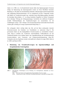 2 Bedeutung von Trennbruchversagen im ingenieurmäßigen und