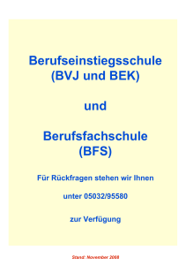 Berufseinstiegsschule (BVJ und BEK) und