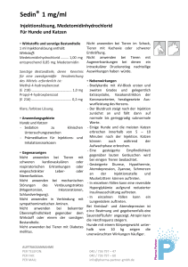 Sedin® 1 mg/ml - Pharma-Partner Vertriebs-GmbH