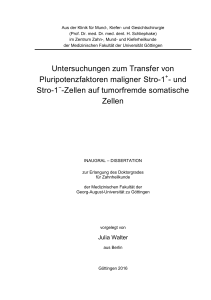 Transfer von Pluripotenzfaktoren maligner Stro-1-positiver