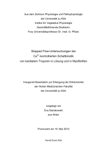 Dissertation elektronisch