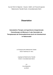 Dissertation - diss.fu