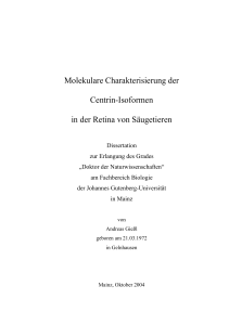 Molekulare Charakterisierung der Centrin