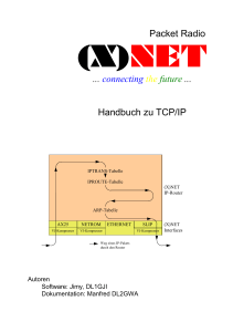 Internet Protocol (IP)