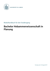 Bachelor Hebammenwissenschaft in Planung