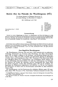 Bericht über das Paleozän der Waschbergzone (NÖ.)