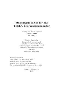 Strahllagemonitor für das TESLA-Energiespektrometer