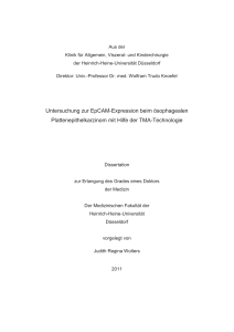 Untersuchung zur EpCAM-Expression beim ösophagealen