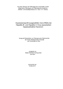 und Hepatitis C-Virus assoziiertem hepatozellulären Karzinom