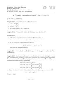„Mathematik I (EI)“ (WS 2008/09) Zentralübung (31.10.08)