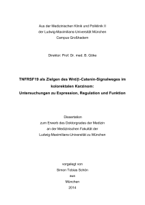 TNFRSF19 als Zielgen des Wnt/β-Catenin