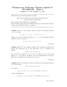 ¨Ubungen zur Vorlesung “Lineare Algebra I” WS 2008/09 Blatt 3