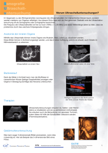 Sonografie Ultraschall