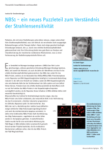 NBS1 – ein neues Puzzleteil zum Verständnis der Strahlensensitivität