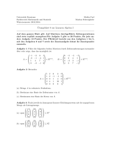 Ubungsblatt 9 zur Linearen Algebra I