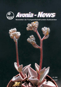 Avonia-News 2009-05 - Fachgesellschaft andere Sukkulenten