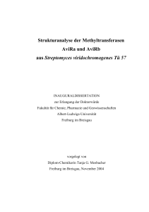 Strukturanalyse der Methyltransferasen AviRa und AviRb aus