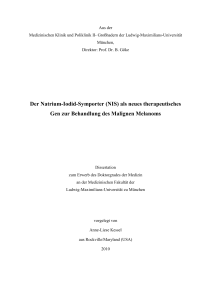 Der Natrium-Iodid-Symporter (NIS) als neues therapeutisches Gen