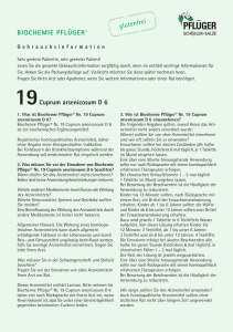 19Cuprum arsenicosum D 6 BIOCHEMIE PFLÜGER®