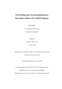 Entwicklung eines hydrometallurgischen Recyclingverfahrens für