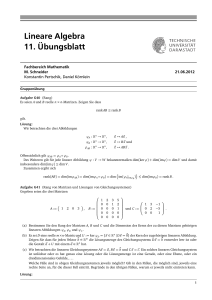 Lineare Algebra 11. Übungsblatt