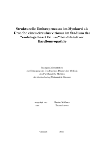 Strukturelle Umbauprozesse im Myokard als Ursache eines circulus