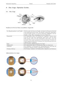 6 Das Auge. Optische Geräte