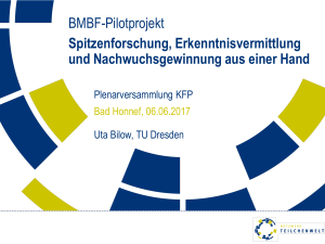 BMBF-Pilotprojekt - Institut für Kern- und Teilchenphysik