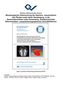 Morphologische Untersuchung der Apertura