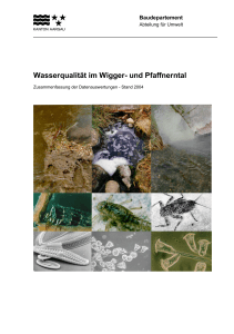 Wasserqualität im Wigger- und Pfaffnerntal