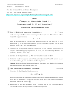 Blatt 8 - Uni Regensburg/Physik