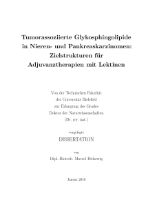 Zielstrukturen für Adjuvanztherapien mit Lektinen