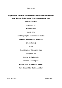 Expression von Alix als Marker für Microvesicular Bodies und