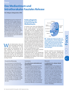 DO · Focus - Osteopathie Hebgen