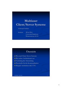 Multiuser Client/Server Systeme