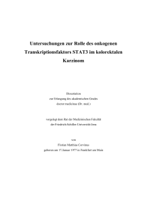 Untersuchungen zur Rolle des onkogenen Transkriptionsfaktors