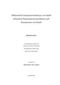 Differentielle Genexpressionsanalyse von Smad4 defizienten