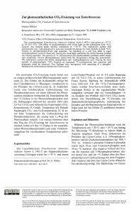 Zur photosynthetischen C 02-Fixierung von Synechococcus