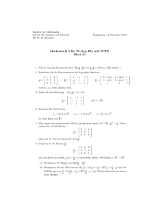 Mathematik I für W.-Ing.,BG und SPTE Blatt 10