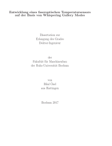 Entwicklung eines faseroptischen Temperatursensors auf der Basis
