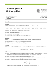Lineare Algebra 1 12. Übungsblatt