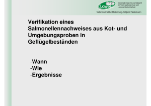 Verifikation eines Salmonellennachweises aus Kot