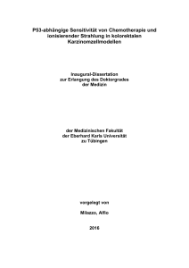 P53-abhängige Sensitivität von Chemotherapie und ionisierender