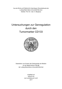 Untersuchungen zur Genregulation durch den Tumormarker CD133