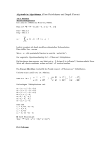 Algebraische Algorithmen (Timo Fleischfresser und Deepak Chava