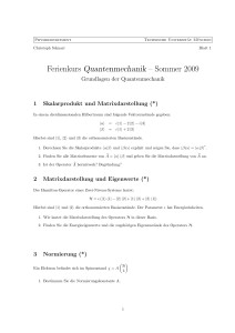 Ferienkurs Quantenmechanik – Sommer 2009