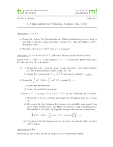 5. Aufgabenblatt zur Vorlesung Analysis 2 (GY/BK)