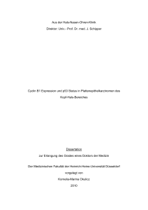 Univ.- Prof. Dr. med. J. Schipper Cyclin B1 Expression und p53