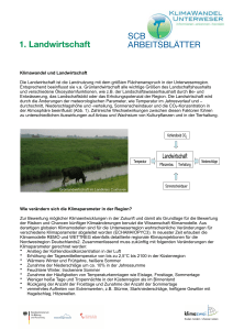 SCB Arbeitsblatt 1-Landwirtschaft MB